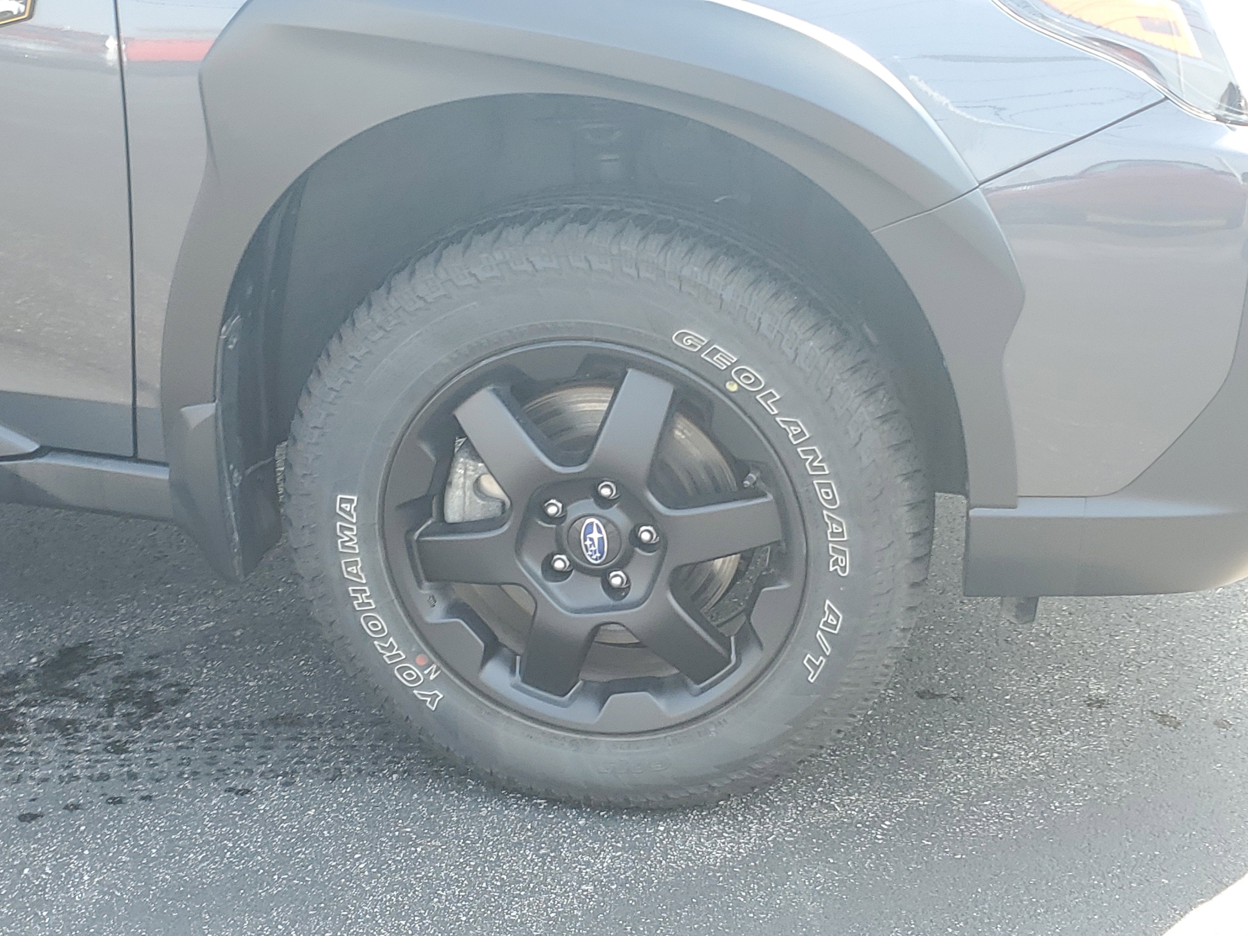 2025 Subaru Outback Wilderness