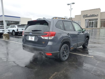2023 Subaru Forester Wilderness