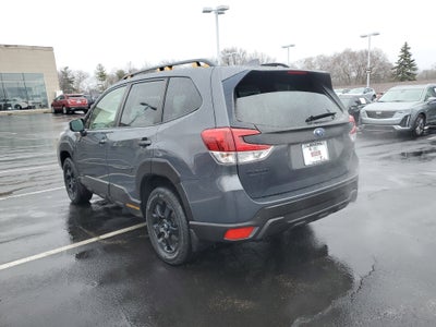 2023 Subaru Forester Wilderness